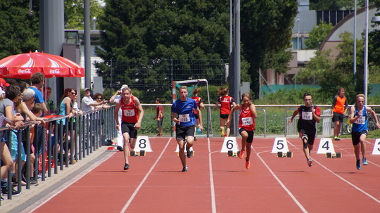 DSC01712.jpg
