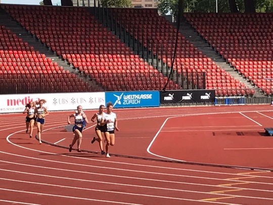 2017-07-23_13.38.59.jpg