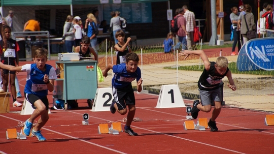 DSC04554.jpg