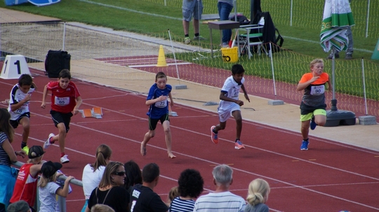 DSC04617.jpg