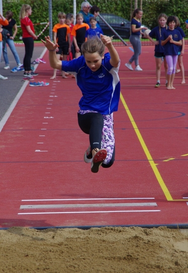 KM_Veltheim_2017_07.jpg