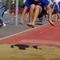 KM_Veltheim_2017_42.jpg