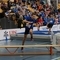 DSC06408.jpg