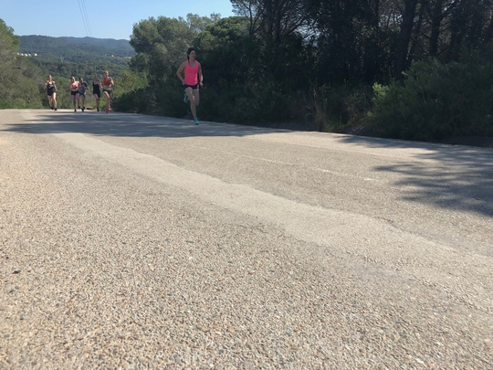 IMG_2859.jpg