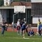 DSC06795.jpg