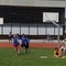 DSC07033.jpg
