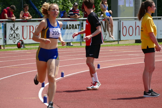 P1000356.jpg