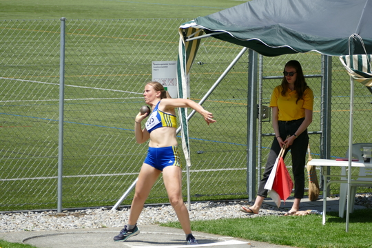 P1000418.jpg