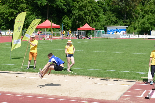 P1000525.jpg