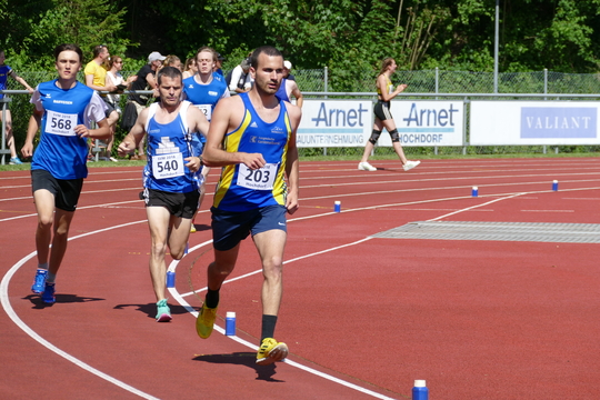P1000541.jpg