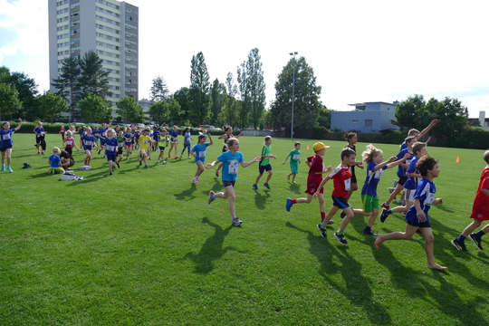P1000733.jpg
