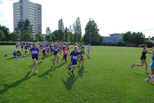 P1000734.jpg