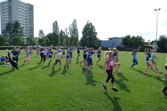 P1000735.jpg