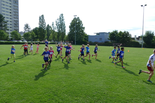 P1000736.jpg