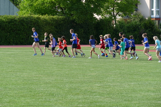 P1000737.jpg