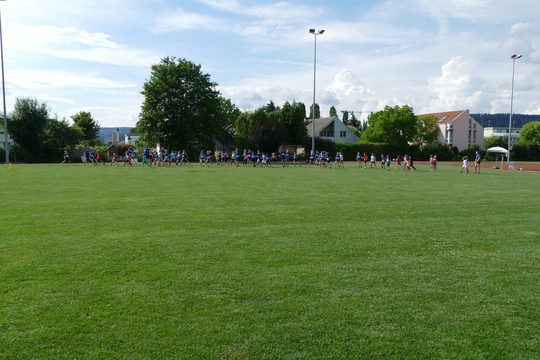 P1000739.jpg
