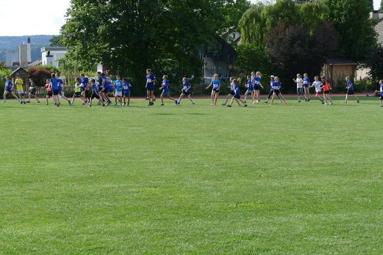 P1000740.jpg