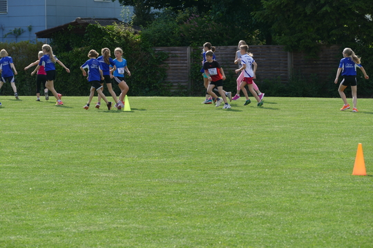 P1000743.jpg