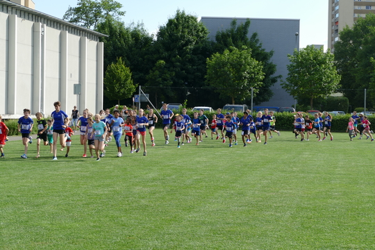 P1000745.jpg