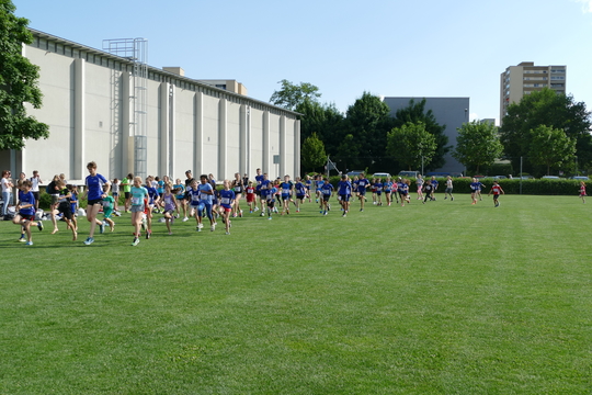P1000746.jpg