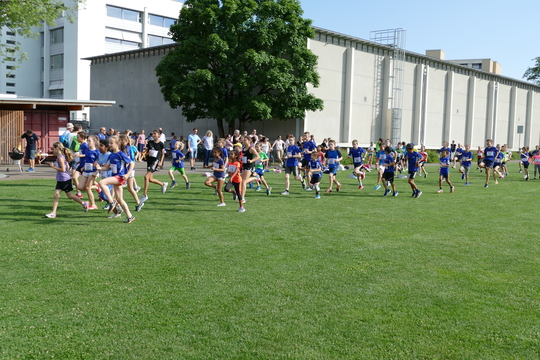 P1000747.jpg