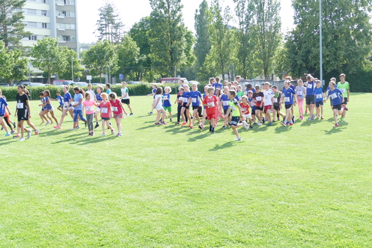 P1000754.jpg