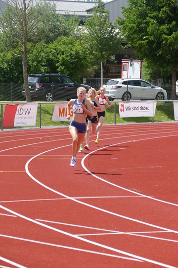 P1000806.jpg