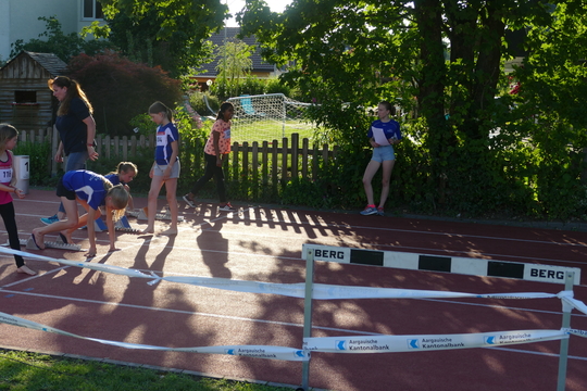P1010069.jpg