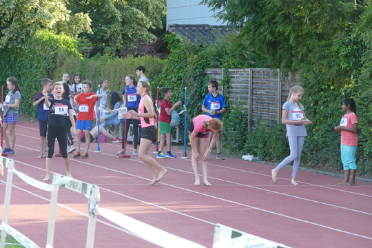 P1010071.jpg