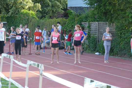 P1010072.jpg
