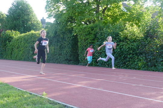 P1010077.jpg