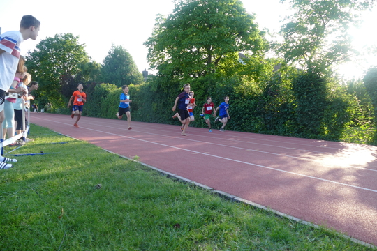 P1010078.jpg