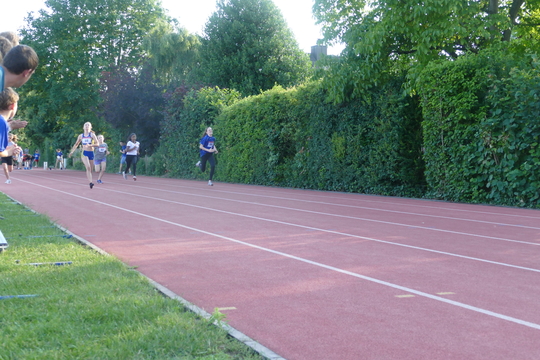 P1010079.jpg