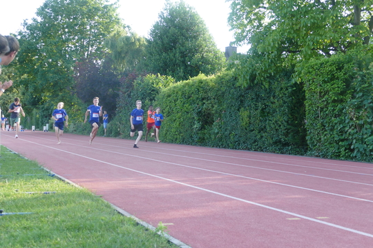 P1010082.jpg