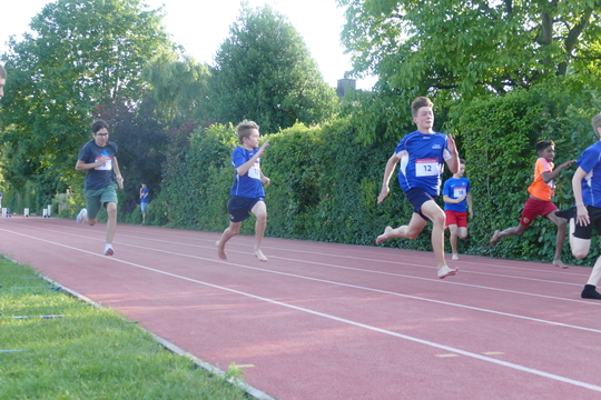 P1010083.jpg