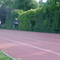P1010079.jpg