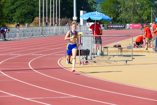 P1010527.jpg