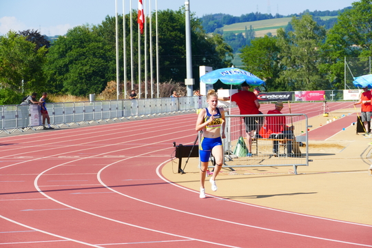 P1010547.jpg