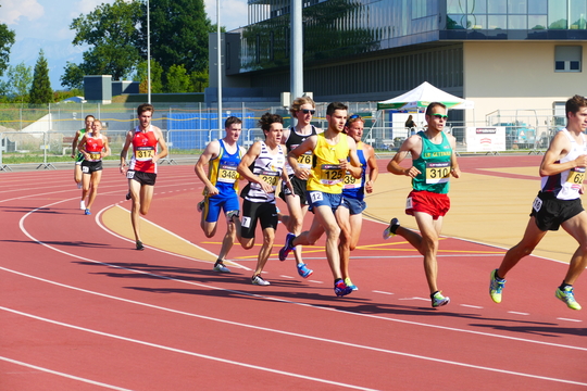 P1010597.jpg