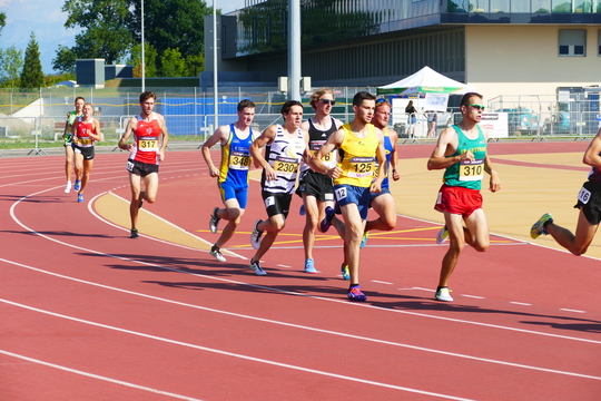 P1010598.jpg