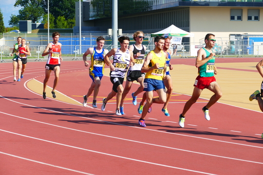 P1010599.jpg