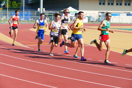 P1010601.jpg