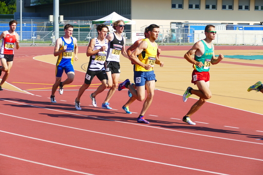 P1010602.jpg