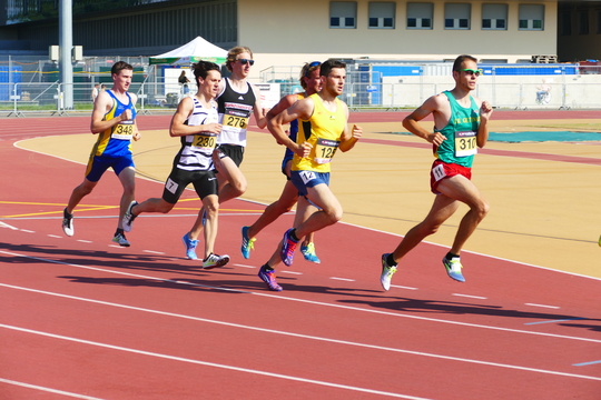P1010603.jpg