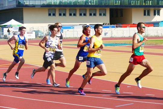 P1010606.jpg