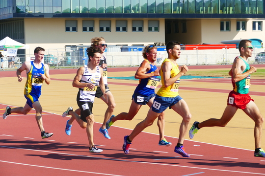P1010607.jpg