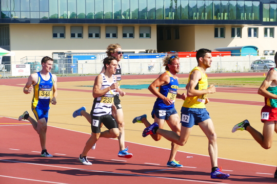 P1010608.jpg