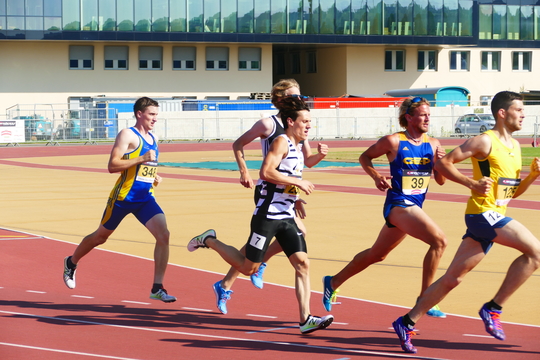 P1010610.jpg