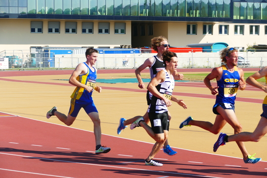 P1010611.jpg
