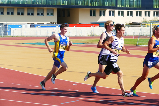 P1010613.jpg